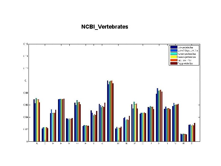 NCBI_Vertebrates 