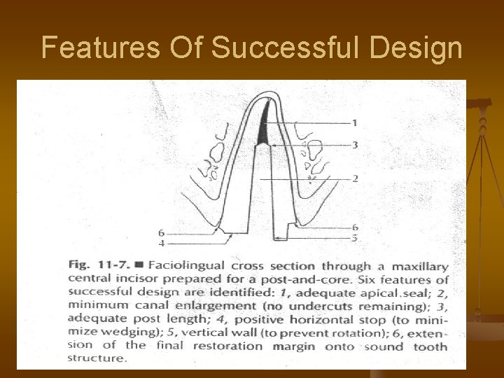 Features Of Successful Design 