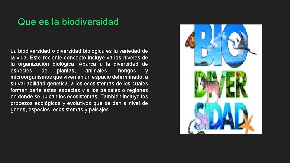 Que es la biodiversidad La biodiversidad o diversidad biológica es la variedad de la