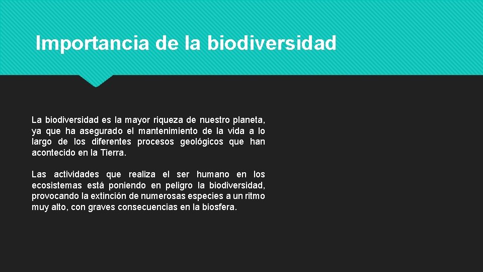 Importancia de la biodiversidad La biodiversidad es la mayor riqueza de nuestro planeta, ya