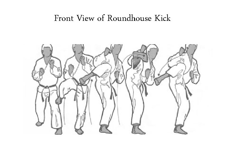 Front View of Roundhouse Kick 