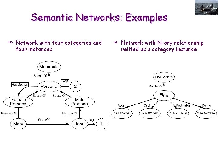 Semantic Networks: Examples E Network with four categories and four instances E Network with