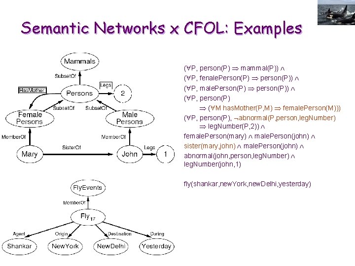 Semantic Networks x CFOL: Examples ( P, person(P) mammal(P)) ( P, fenale. Person(P) person(P))