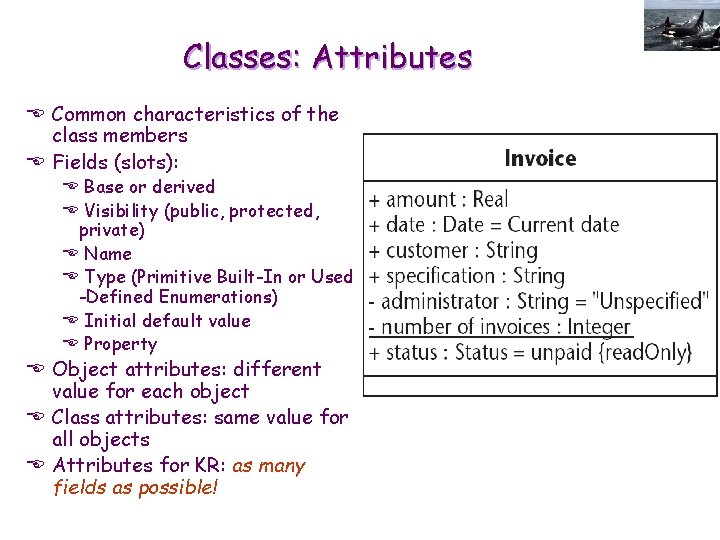Classes: Attributes E Common characteristics of the class members E Fields (slots): E Base