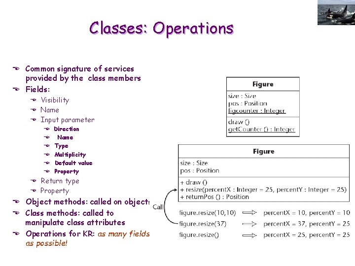 Classes: Operations E Common signature of services provided by the class members E Fields: