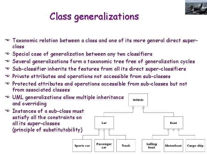 Class generalizations E Taxonomic relation between a class and one of its more general