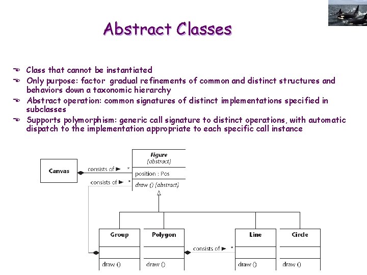 Abstract Classes E Class that cannot be instantiated E Only purpose: factor gradual refinements