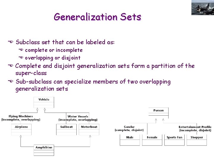 Generalization Sets E Subclass set that can be labeled as: E complete or incomplete