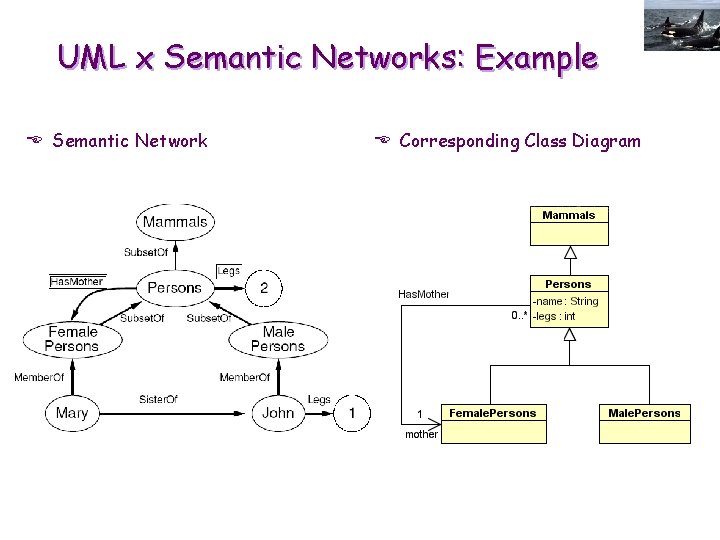 UML x Semantic Networks: Example E Semantic Network E Corresponding Class Diagram 