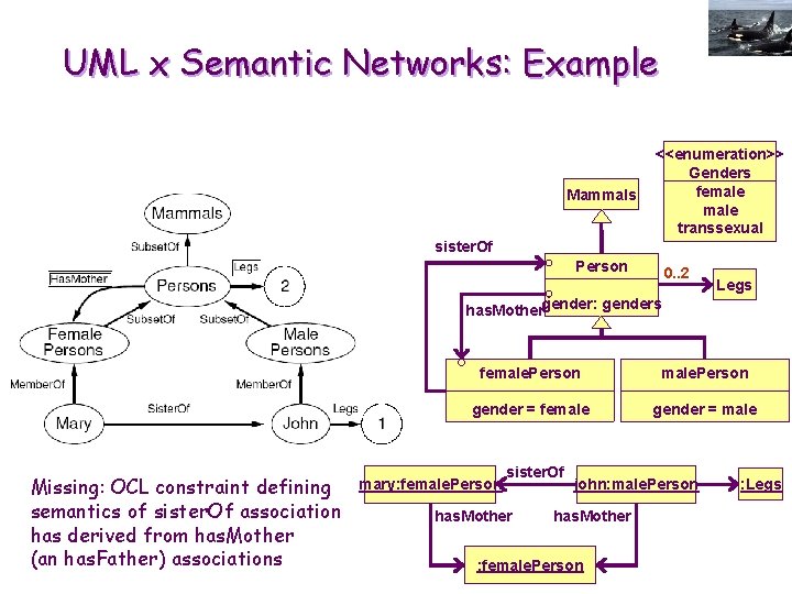 UML x Semantic Networks: Example Mammals <<enumeration>> Genders female transsexual sister. Of Person 0.