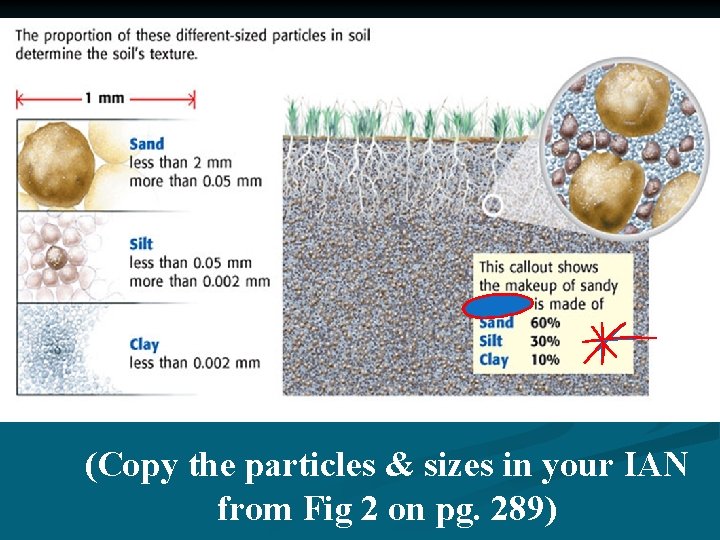 (Copy the particles & sizes in your IAN from Fig 2 on pg. 289)