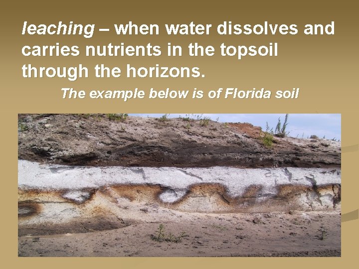 leaching – when water dissolves and carries nutrients in the topsoil through the horizons.