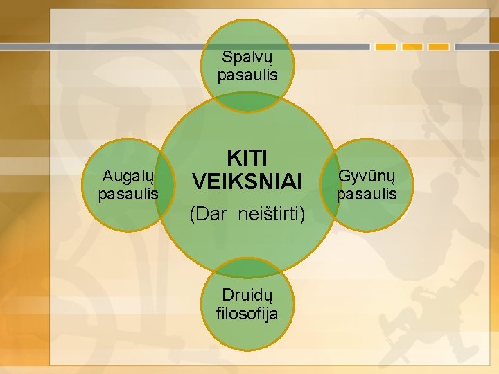 Spalvų pasaulis Augalų pasaulis KITI VEIKSNIAI (Dar neištirti) Druidų filosofija Gyvūnų pasaulis 