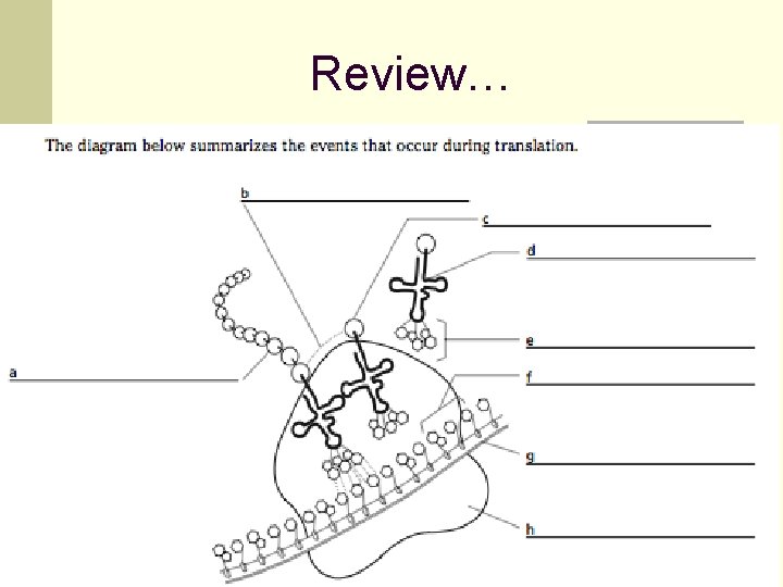Review… 