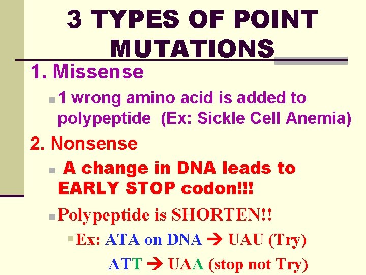 3 TYPES OF POINT MUTATIONS 1. Missense n 1 wrong amino acid is added