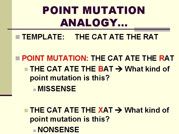 POINT MUTATION ANALOGY… n TEMPLATE: THE CAT ATE THE RAT n POINT MUTATION: THE