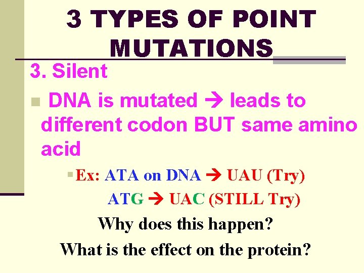 3 TYPES OF POINT MUTATIONS 3. Silent n DNA is mutated leads to different