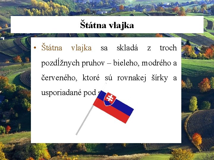 Štátna vlajka • Štátna vlajka sa skladá z troch pozdĺžnych pruhov – bieleho, modrého