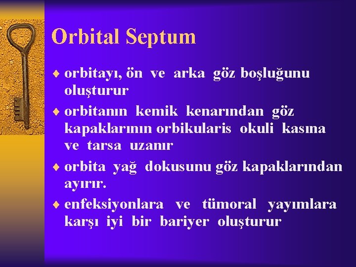 Orbital Septum ¨ orbitayı, ön ve arka göz boşluğunu oluşturur ¨ orbitanın kemik kenarından