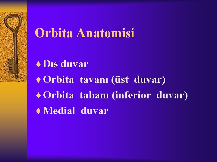 Orbita Anatomisi ¨ Dış duvar ¨ Orbita tavanı (üst duvar) ¨ Orbita tabanı (inferior