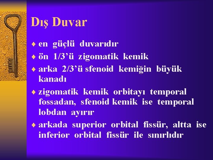 Dış Duvar ¨ en güçlü duvarıdır ¨ ön 1/3’ü zigomatik kemik ¨ arka 2/3’ü