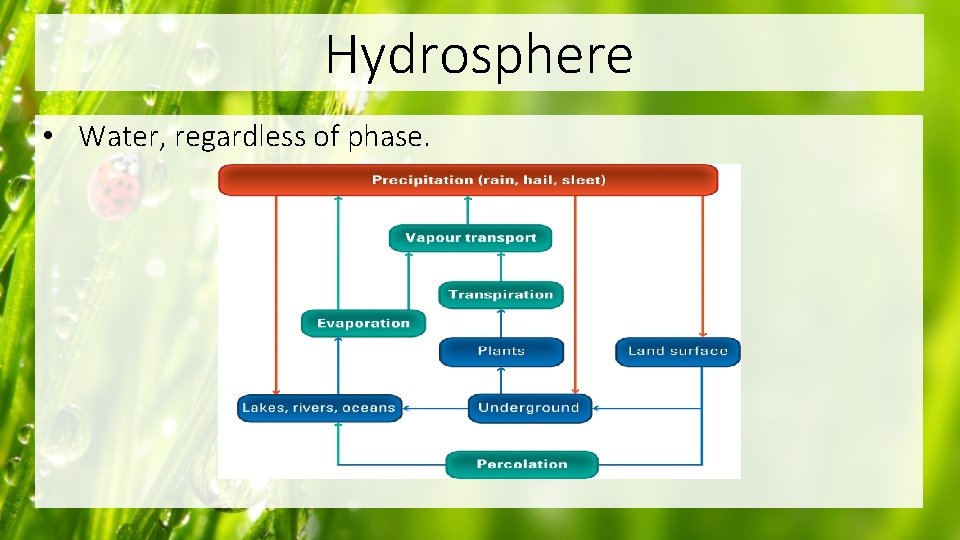 Hydrosphere • Water, regardless of phase. 