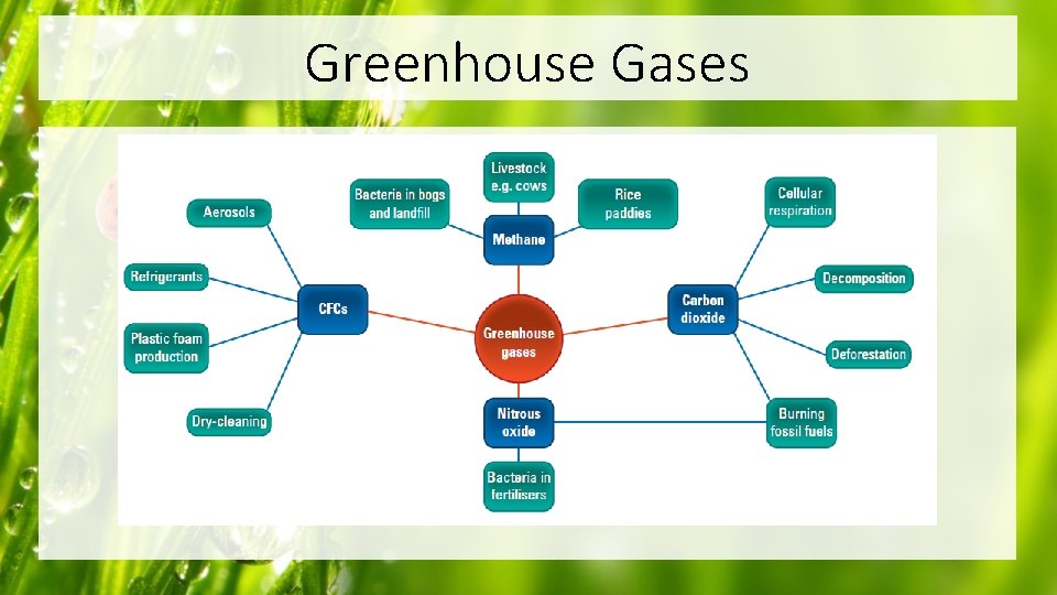 Greenhouse Gases 