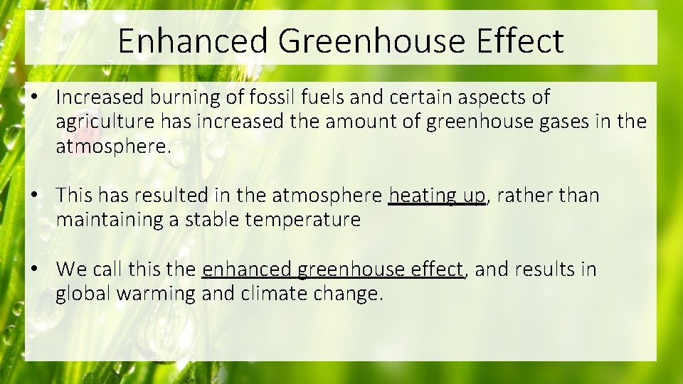 Enhanced Greenhouse Effect • Increased burning of fossil fuels and certain aspects of agriculture