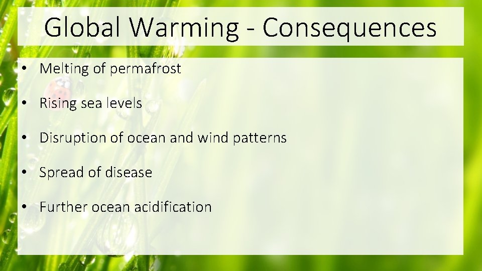 Global Warming - Consequences • Melting of permafrost • Rising sea levels • Disruption