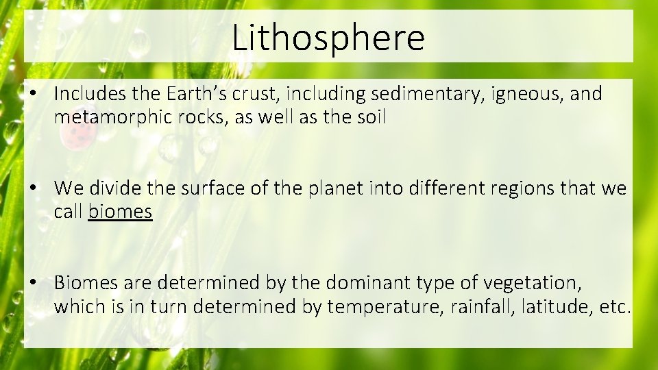 Lithosphere • Includes the Earth’s crust, including sedimentary, igneous, and metamorphic rocks, as well