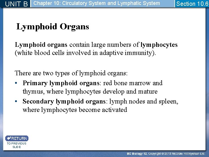 UNIT B Chapter 10: Circulatory System and Lymphatic System Section 10. 6 Lymphoid Organs