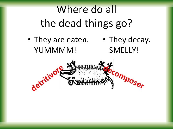 Where do all the dead things go? • They are eaten. YUMMMM! i r