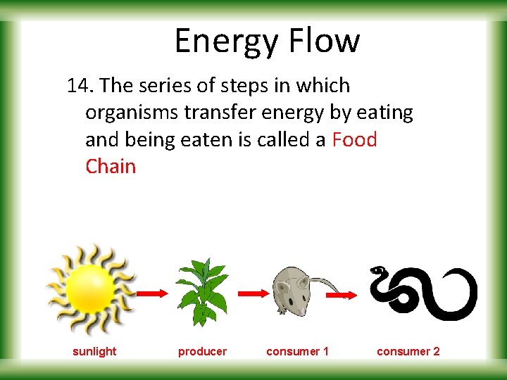 Energy Flow 14. The series of steps in which organisms transfer energy by eating