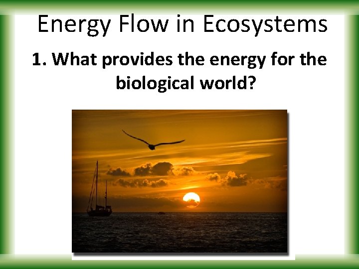 Energy Flow in Ecosystems 1. What provides the energy for the biological world? 