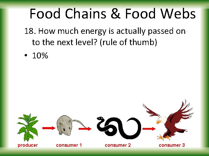 Food Chains & Food Webs 18. How much energy is actually passed on to