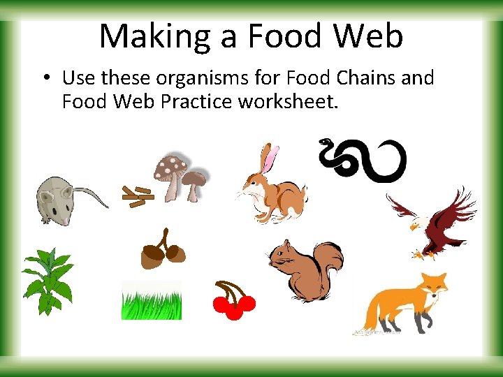 Making a Food Web • Use these organisms for Food Chains and Food Web