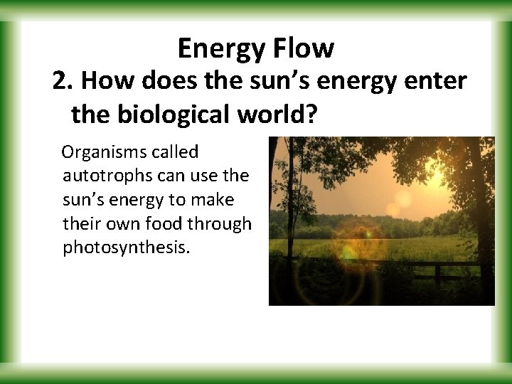 Energy Flow 2. How does the sun’s energy enter the biological world? Organisms called