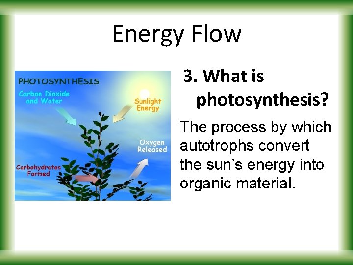 Energy Flow 3. What is photosynthesis? The process by which autotrophs convert the sun’s