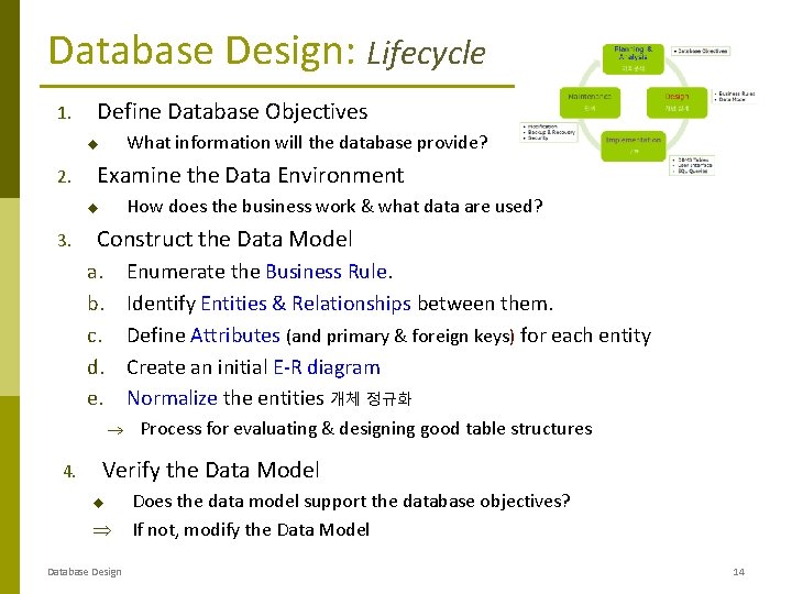 Database Design: Lifecycle 1. Define Database Objectives What information will the database provide? u Database Design: Lifecycle 1. Define Database Objectives What information will the database provide? u