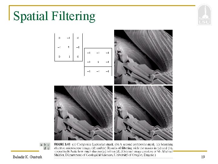 Spatial Filtering Bahadir K. Gunturk 19 