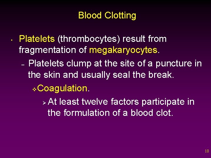 Blood Clotting • Platelets (thrombocytes) result from fragmentation of megakaryocytes. – Platelets clump at