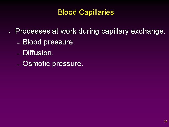 Blood Capillaries • Processes at work during capillary exchange. – Blood pressure. – Diffusion.