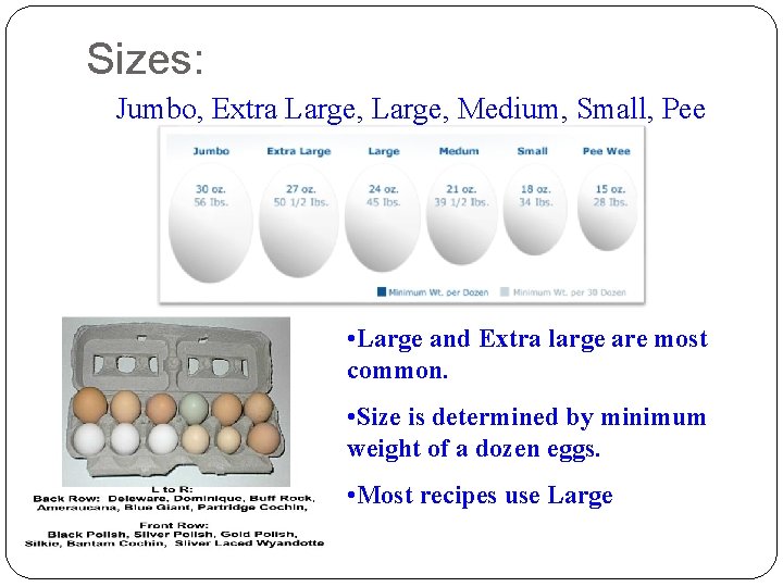 Sizes: Jumbo, Extra Large, Medium, Small, Pee Wee • Large and Extra large are