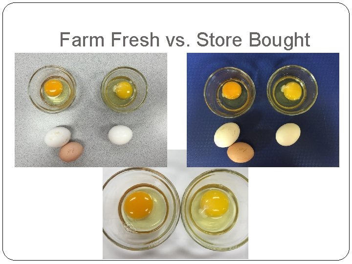 Farm Fresh vs. Store Bought 