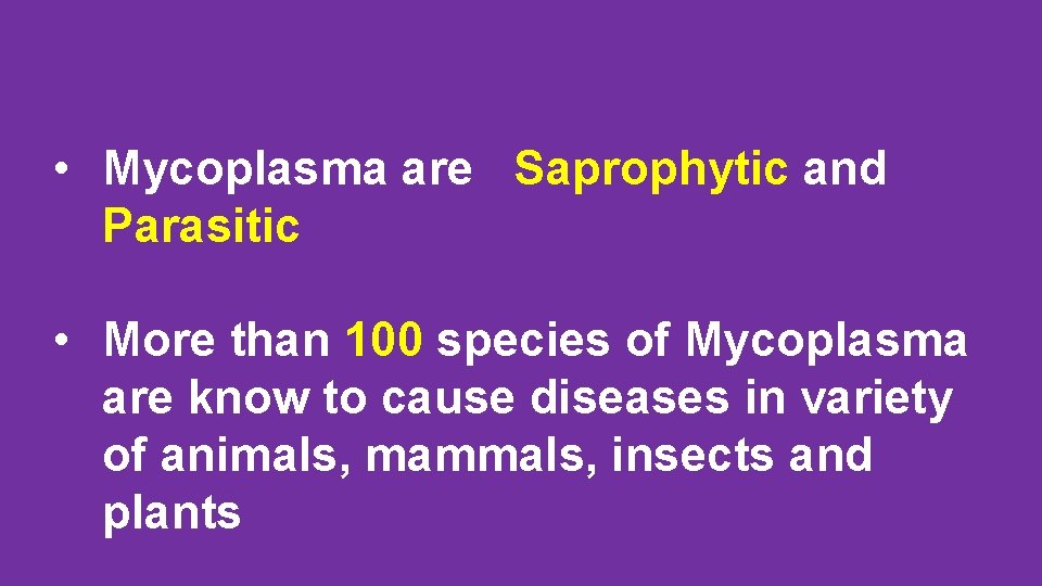  • Mycoplasma are Saprophytic and Parasitic • More than 100 species of Mycoplasma