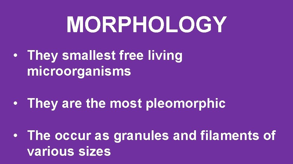 MORPHOLOGY • They smallest free living microorganisms • They are the most pleomorphic •