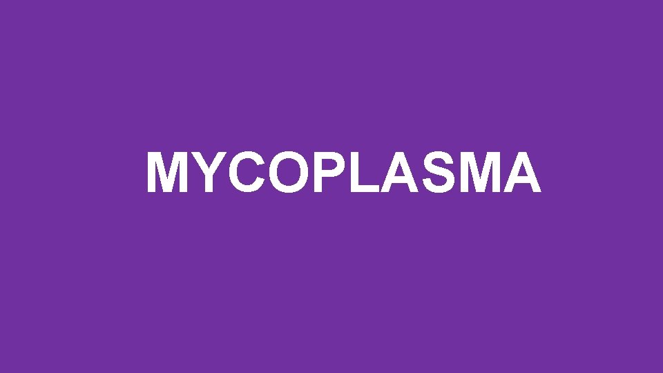 MYCOPLASMA 