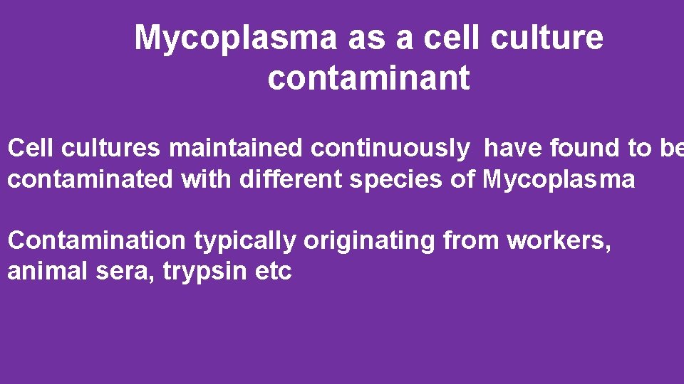 Mycoplasma as a cell culture contaminant Cell cultures maintained continuously have found to be