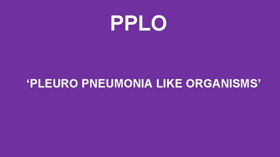 PPLO ‘PLEURO PNEUMONIA LIKE ORGANISMS’ 