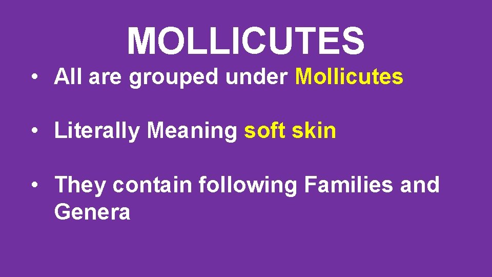 MOLLICUTES • All are grouped under Mollicutes • Literally Meaning soft skin • They